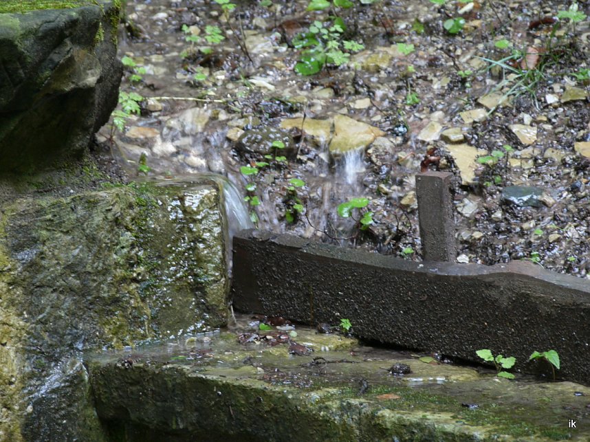 Quellen sprudeln &uuml;ber im B&auml;renpark
