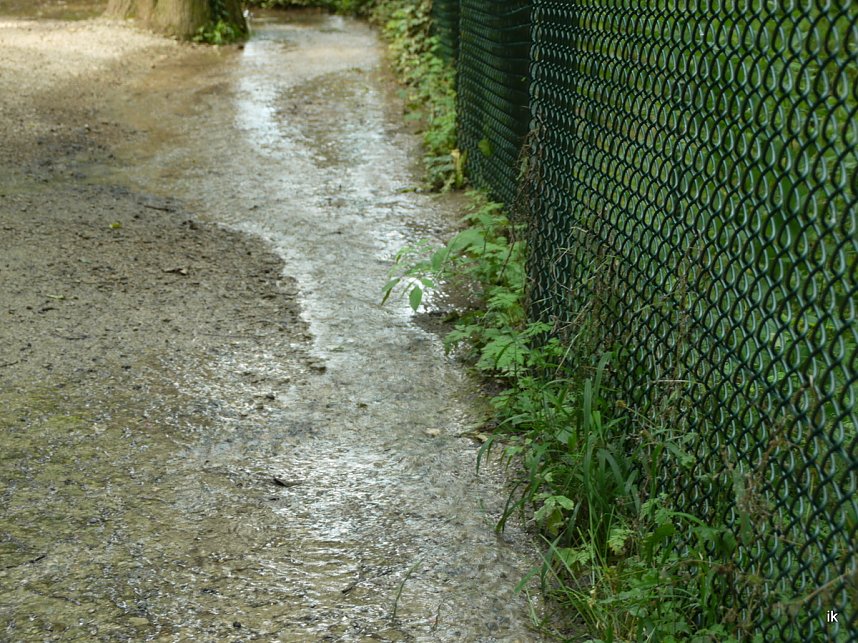 Quellen sprudeln &uuml;ber im B&auml;renpark