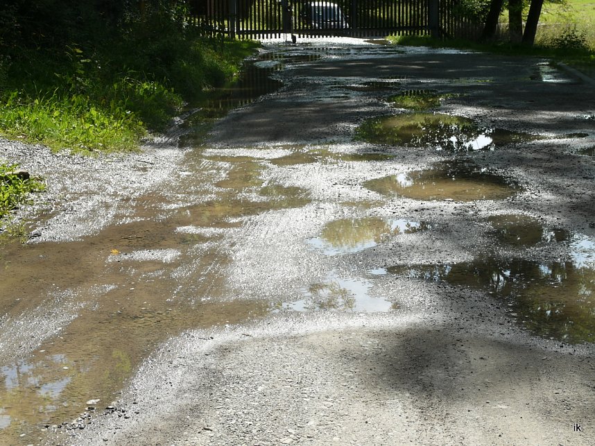 Quellen sprudeln &uuml;ber im B&auml;renpark