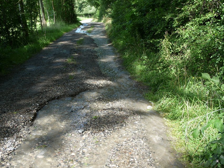 Quellen sprudeln &uuml;ber im B&auml;renpark