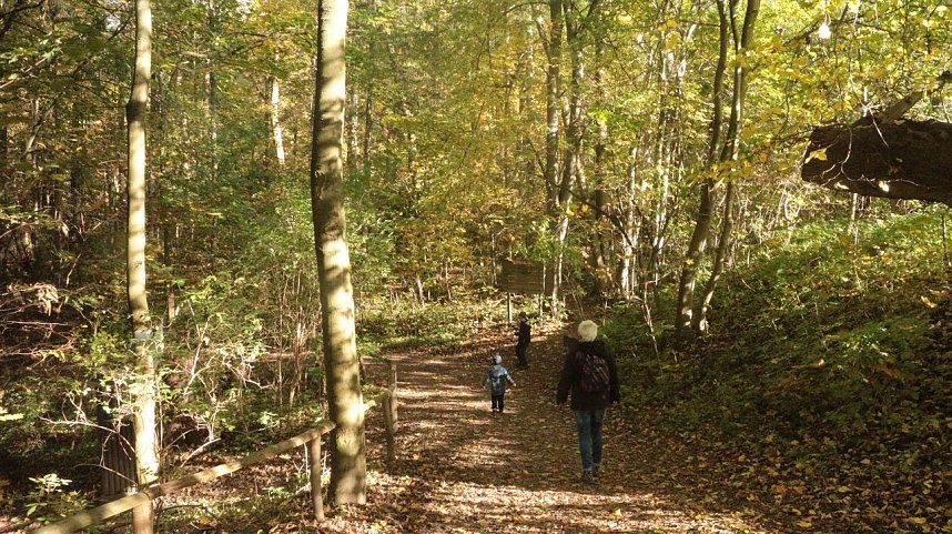 Goldener Herbst im B&auml;renpark Worbis