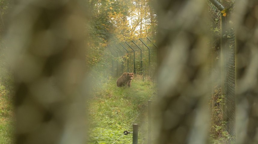 Goldener Herbst im B&auml;renpark Worbis