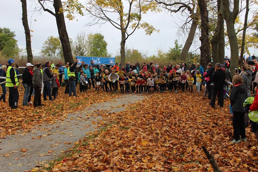 24. Stadtparklauf in Sondershausen (1)