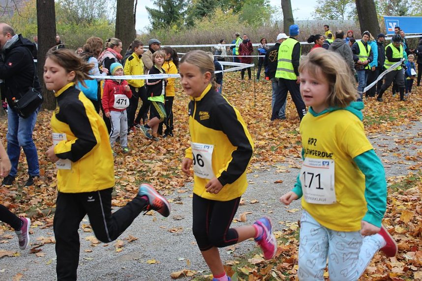 24. Stadtparklauf in Sondershausen (1)