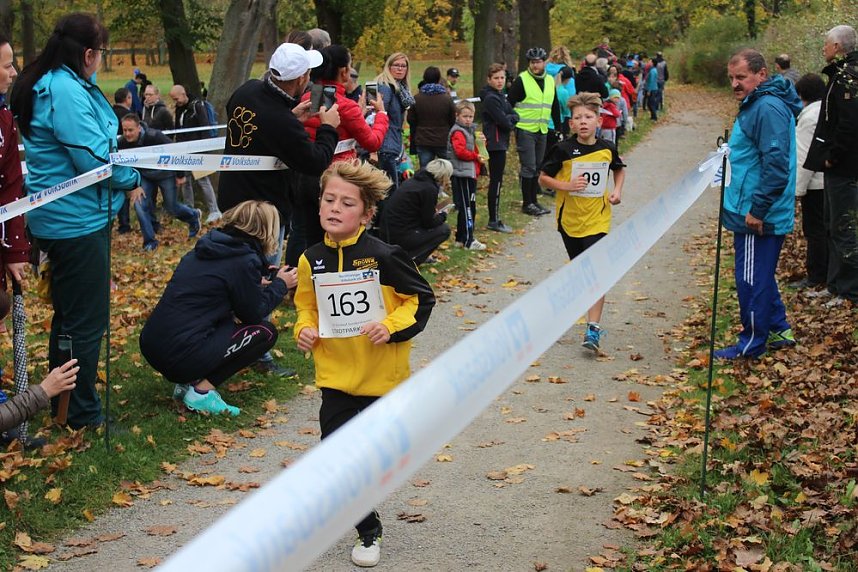 24. Stadtparklauf in Sondershausen (1)