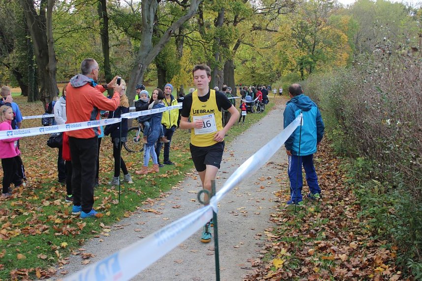 24. Stadtparklauf in Sondershausen (1)