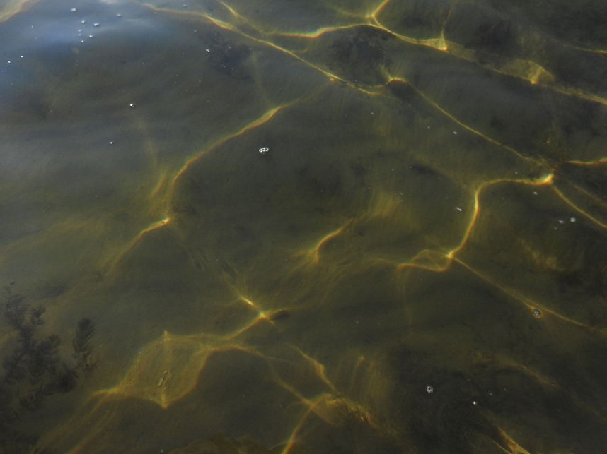 Lichtspiele am Seelhausener See