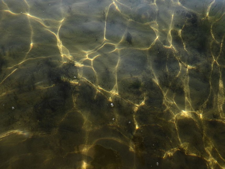 Lichtspiele am Seelhausener See