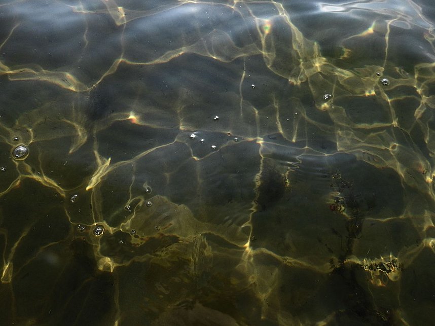 Lichtspiele am Seelhausener See