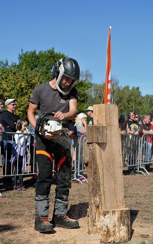 Emmenrausch am Stausee Kelbra