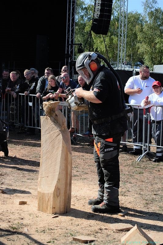 Emmenrausch am Stausee Kelbra