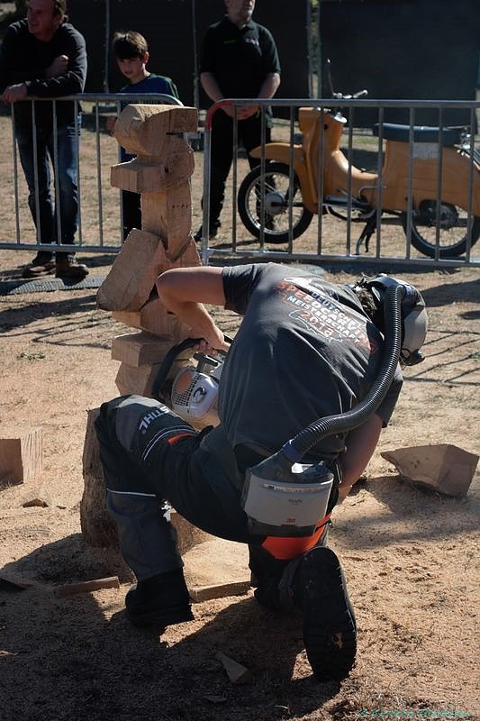 Emmenrausch am Stausee Kelbra