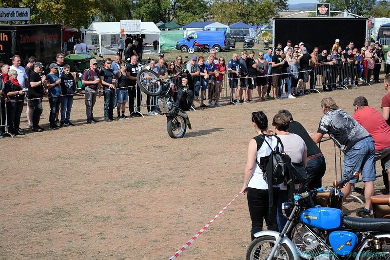 Emmenrausch am Stausee Kelbra