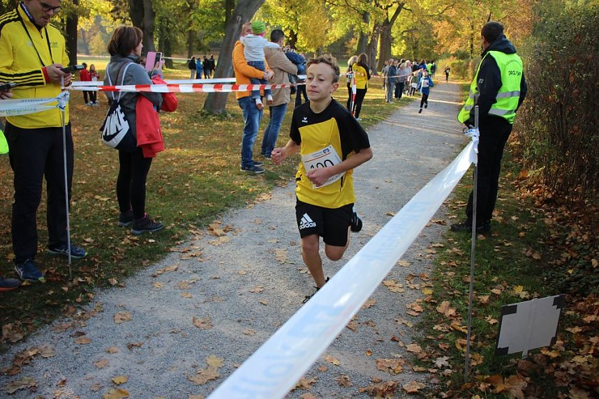 Stadtparklauf in Sondershausen (2)