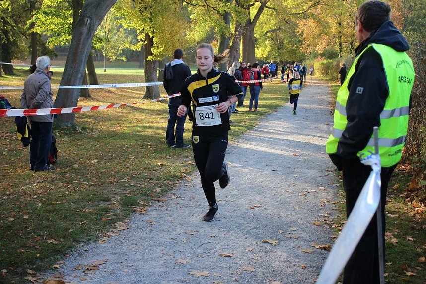 Stadtparklauf in Sondershausen (2)