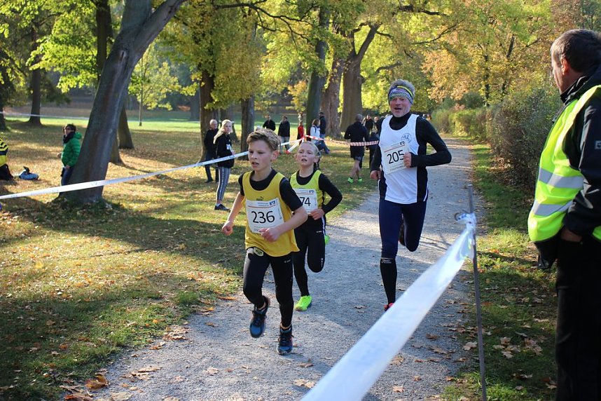 Stadtparklauf in Sondershausen (2)