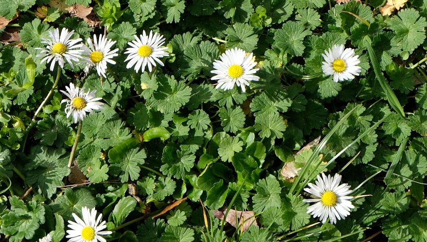 Der Sieger steht fest.