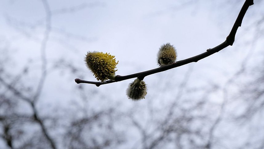 Der Sieger steht fest.