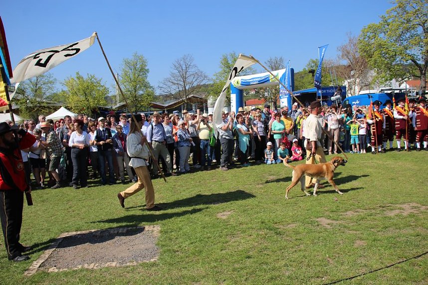 Gro&szlig;artiger MDR Osterspaziergang in Bad Frankenhausen