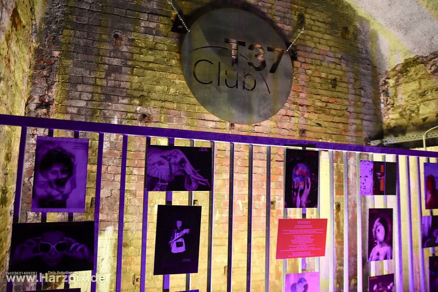 Allways Thirty3 / Golden Circle