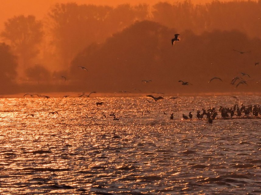 Abendstimmung am Stausee Kelbra