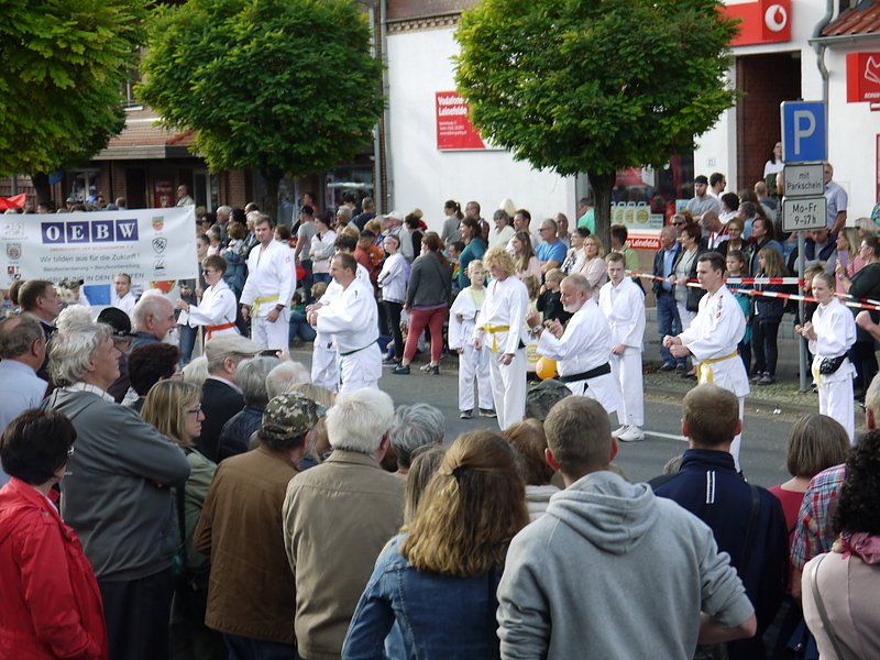 Bilder vom Festumzug