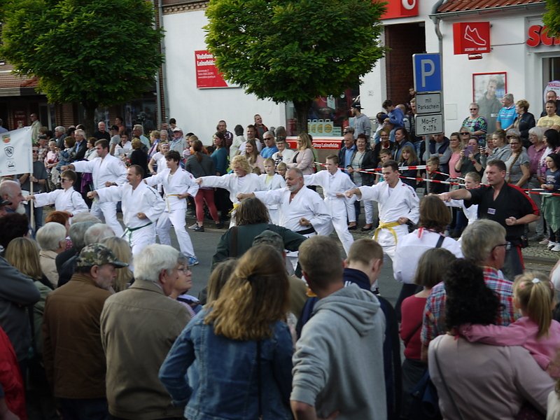 Bilder vom Festumzug