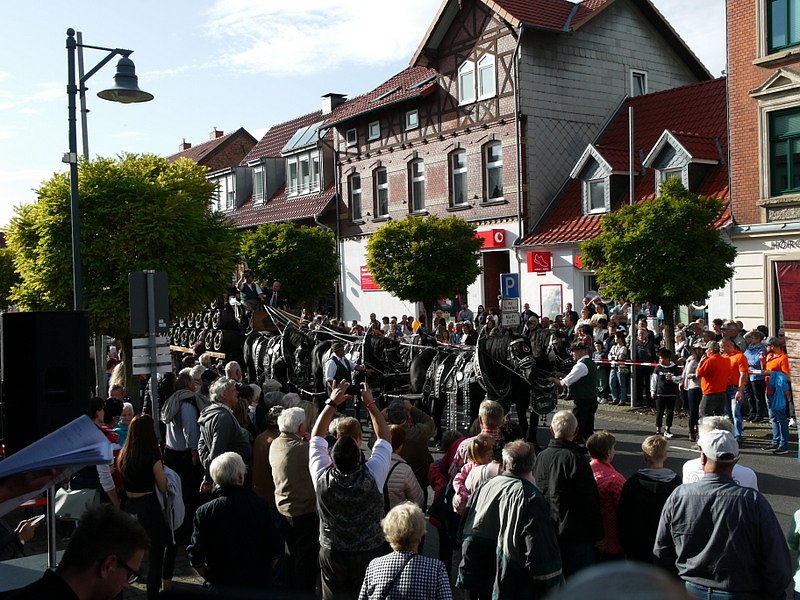 Bilder vom Festumzug Teil 2