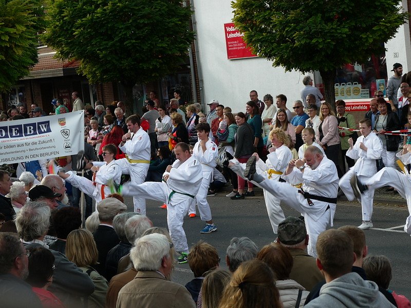 Bilder vom Festumzug Teil 2