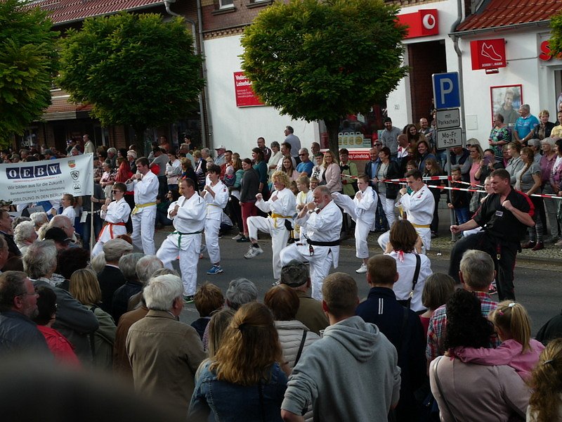 Bilder vom Festumzug Teil 2