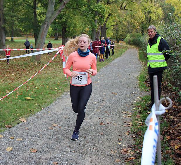 26. Stadtparklauf Sondershausen und...