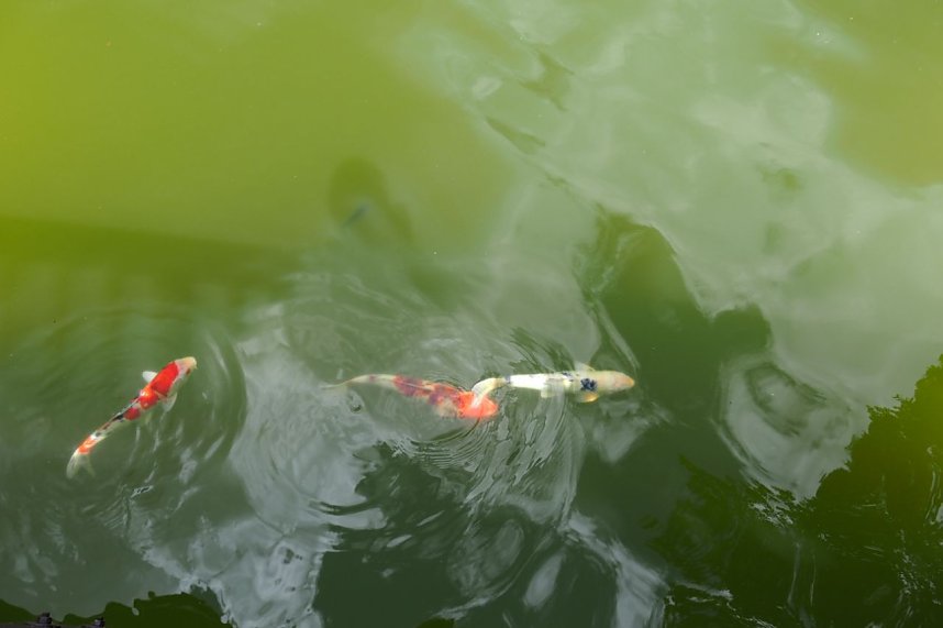 Impressionen aus Bad Langensalza