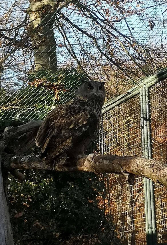 Tagesausflug zum Hexentanzplatz 