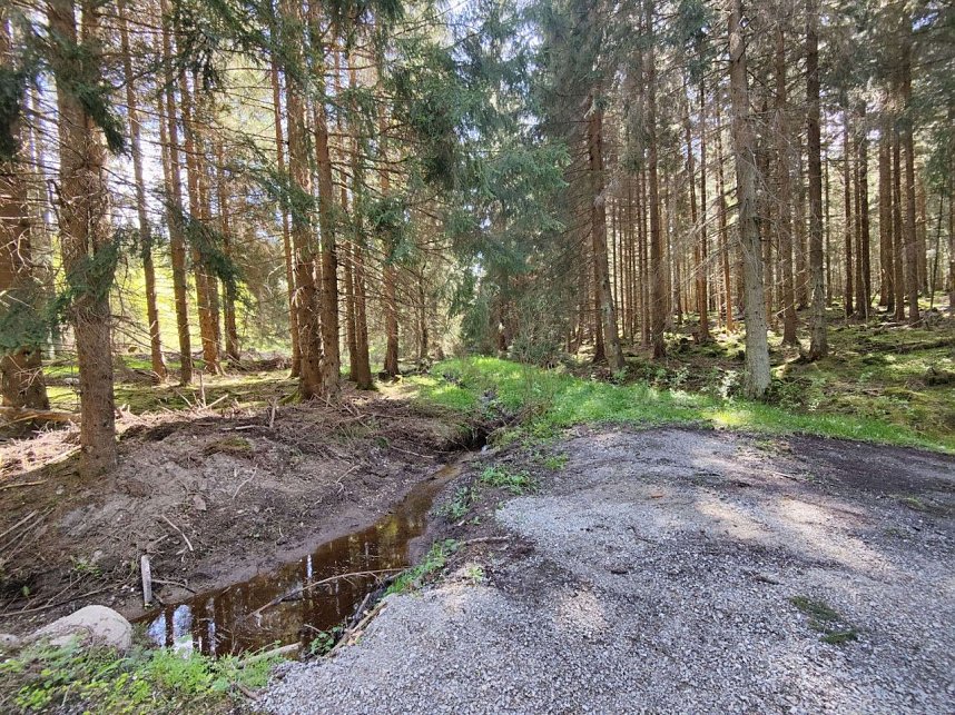 Peter Blei unterwegs bei Benneckenstein