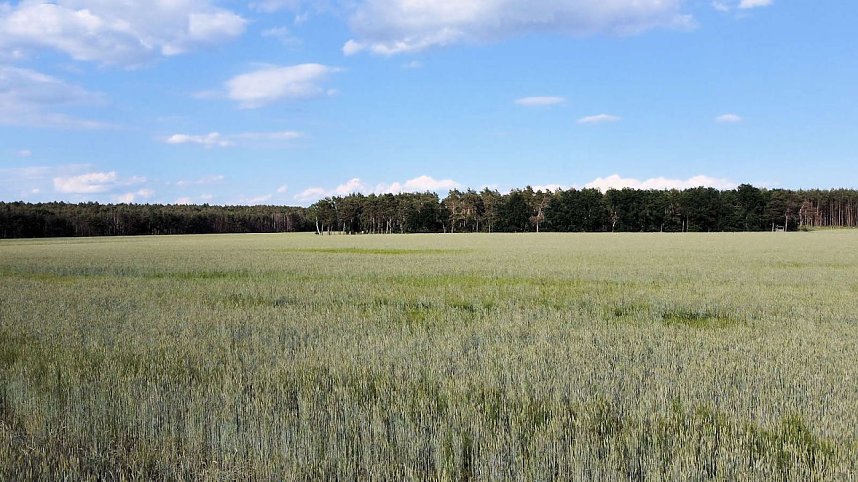 Ausflug zum Muldestausee