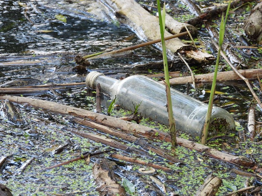 Ausflug zum Muldestausee