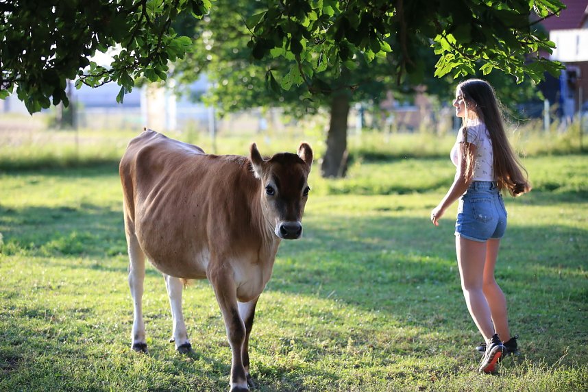 Eine ungew&ouml;hnliche Freundschaft