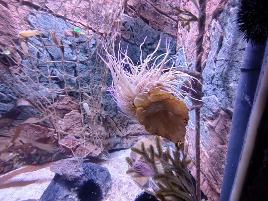 Jahreswechsel in der deutschen Hauptstadt