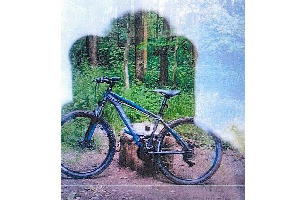 Bild des gestohlenen Bikes