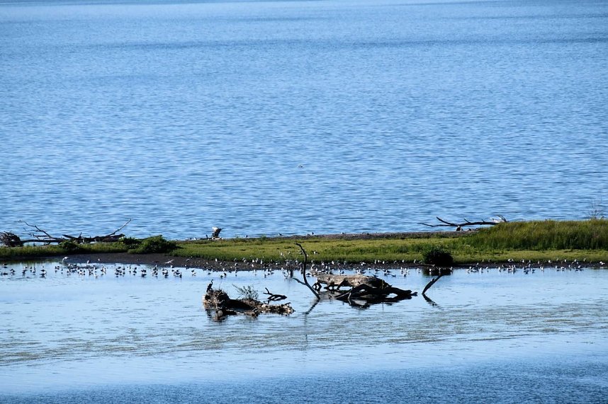 Peter Blei unterwegs in Je&szlig;nitz
