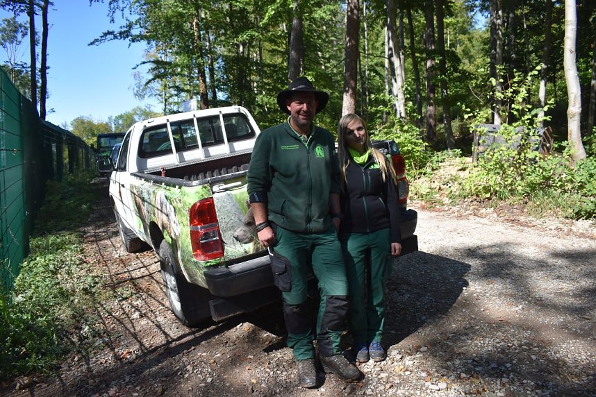 Neuank&ouml;mmling im B&auml;renpark