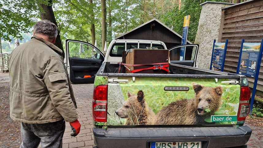 Neuank&ouml;mmling im B&auml;renpark