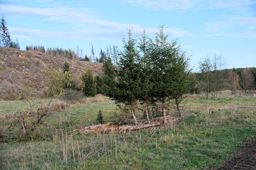 Peter Blei unterwegs im Harz