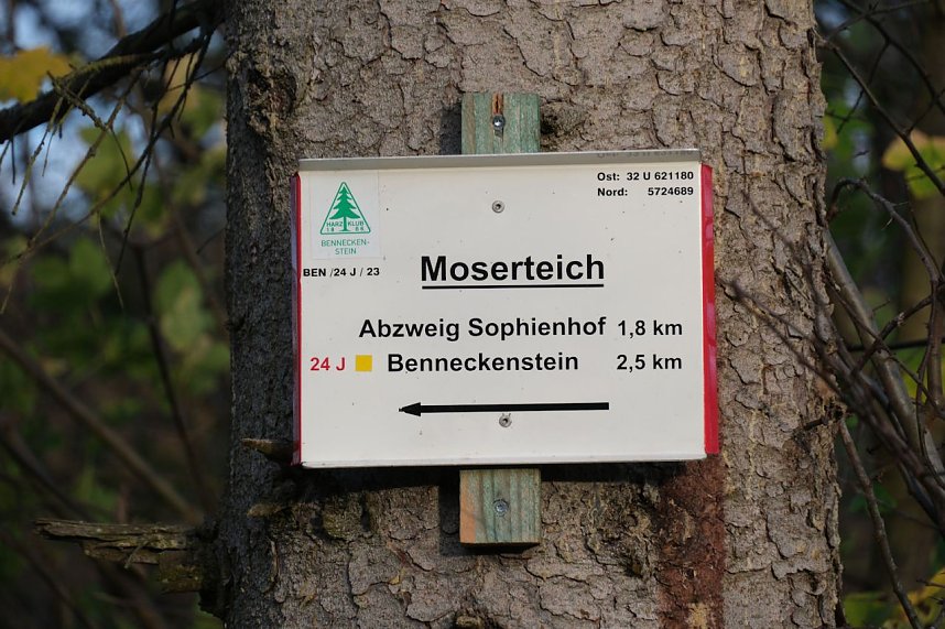 Peter Blei unterwegs im Harz