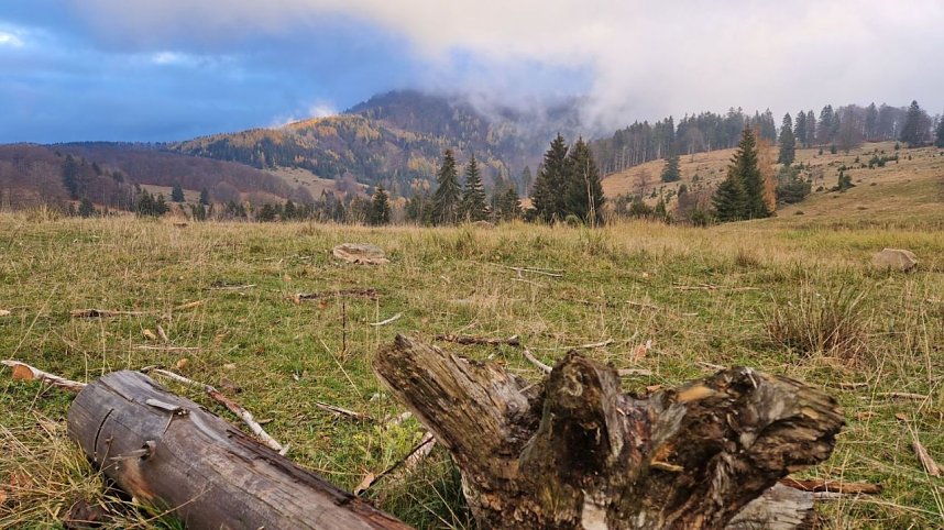 B&auml;renpark auf Expedition in der Slowakei