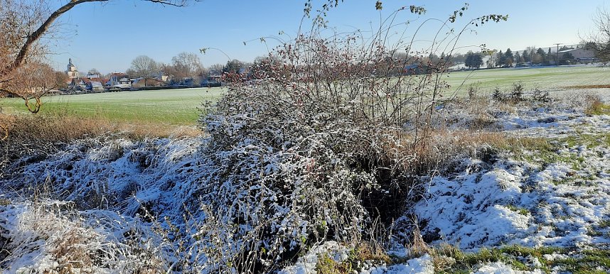 Beim Spaziergang aufgenommen