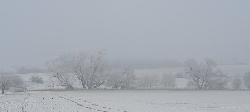 Beim Spaziergang aufgenommen