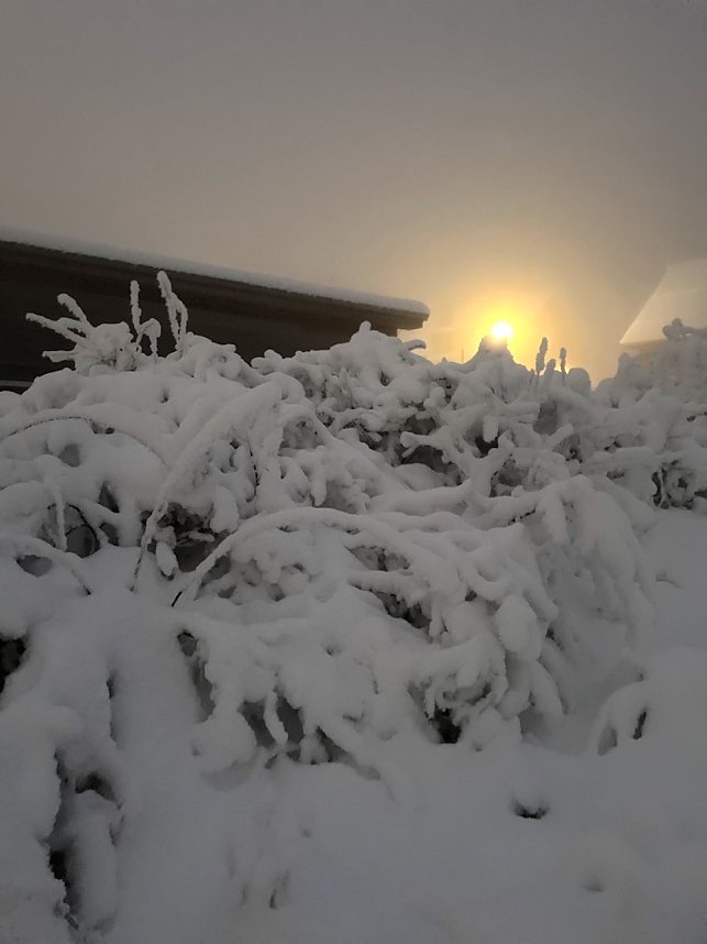 Torfhaus Momentaufnahme
