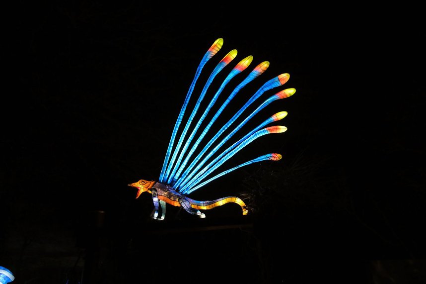 Peter Blei in den magischen Lichterwelten