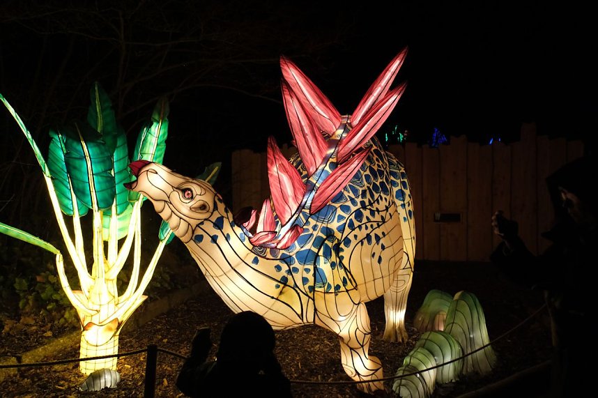 Peter Blei in den magischen Lichterwelten